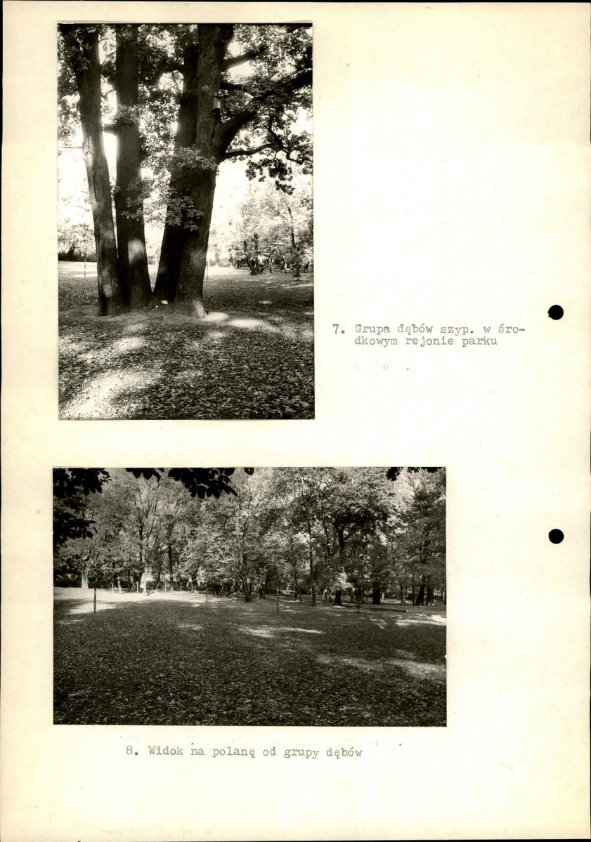 Ewidencja parkowa, skan nr 26
