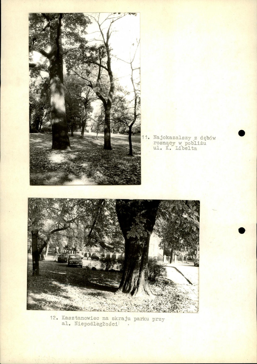 Ewidencja parkowa, skan nr 28