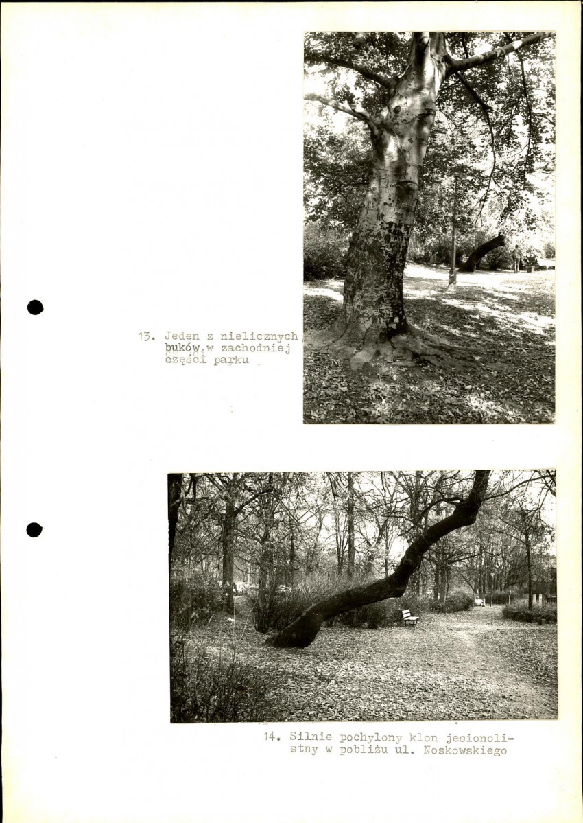 Ewidencja parkowa, skan nr 29