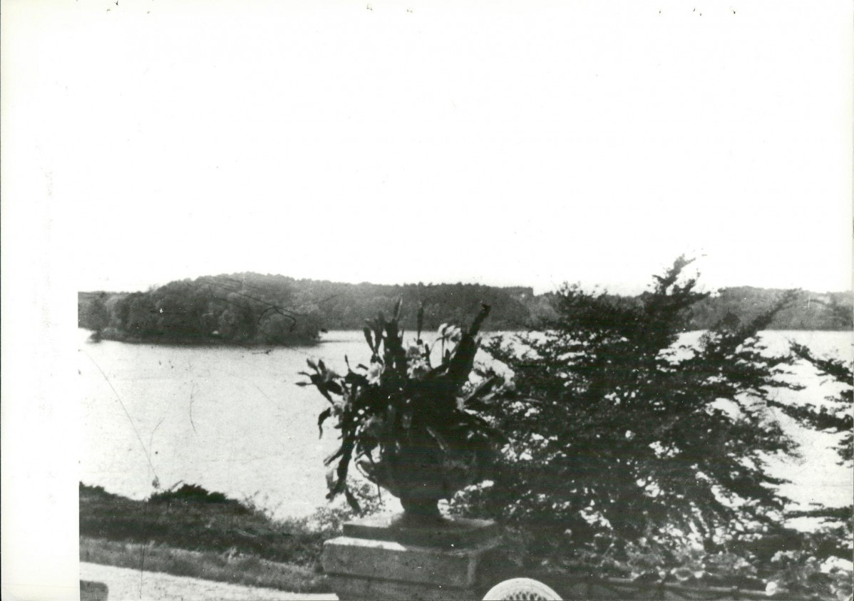Ewidencja parkowa, skan nr 29