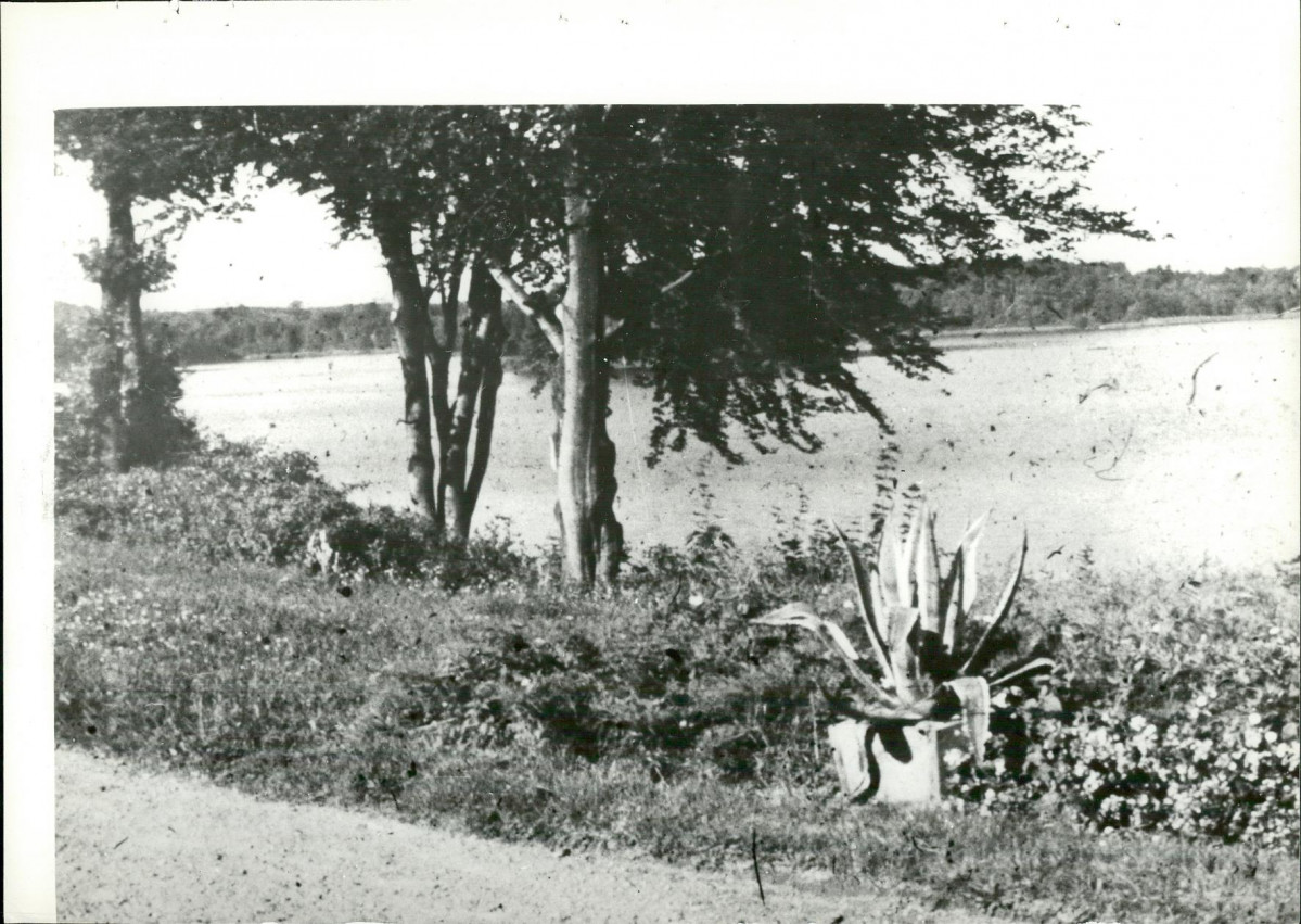 Ewidencja parkowa, skan nr 31