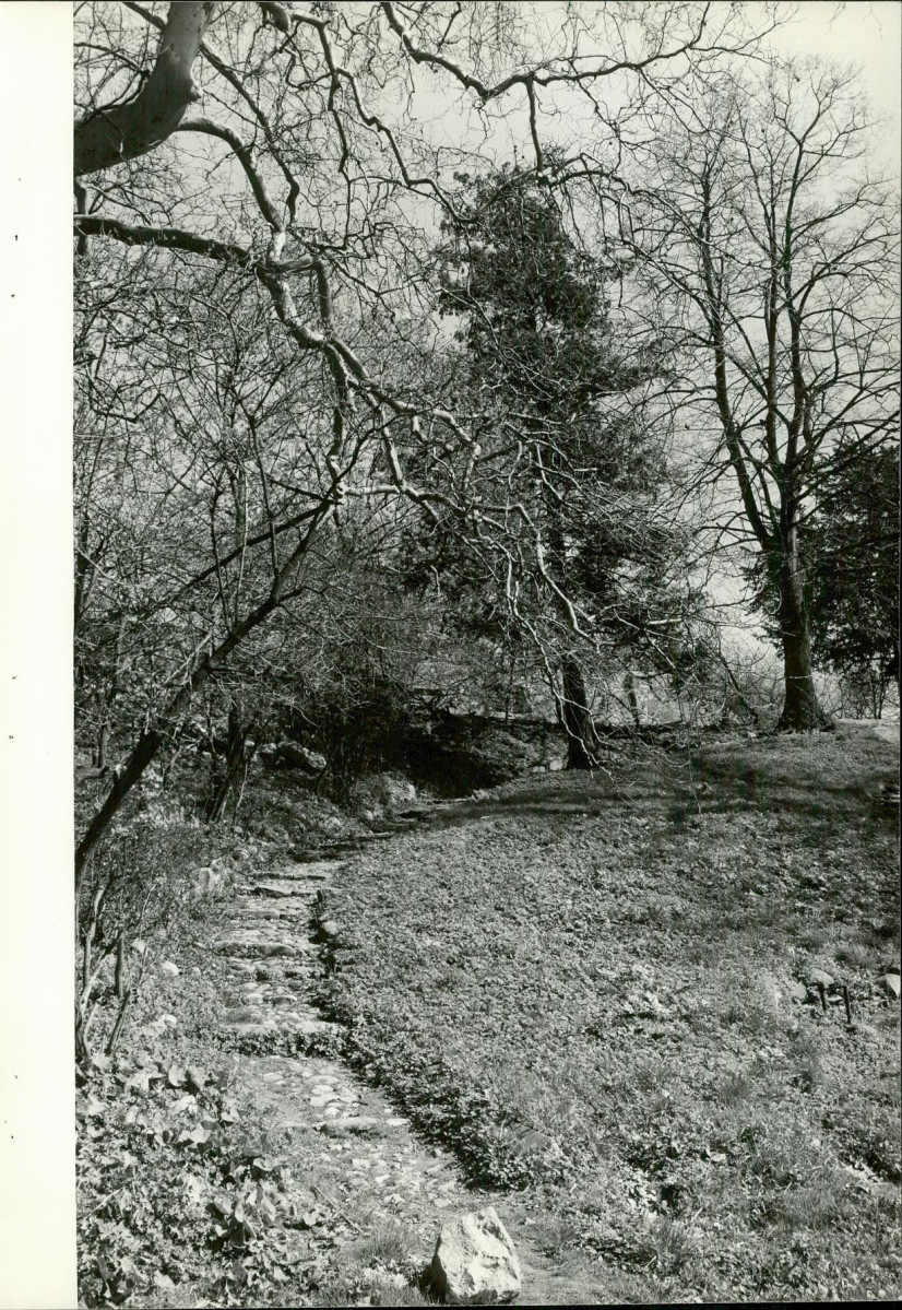 Ewidencja parkowa, skan nr 51