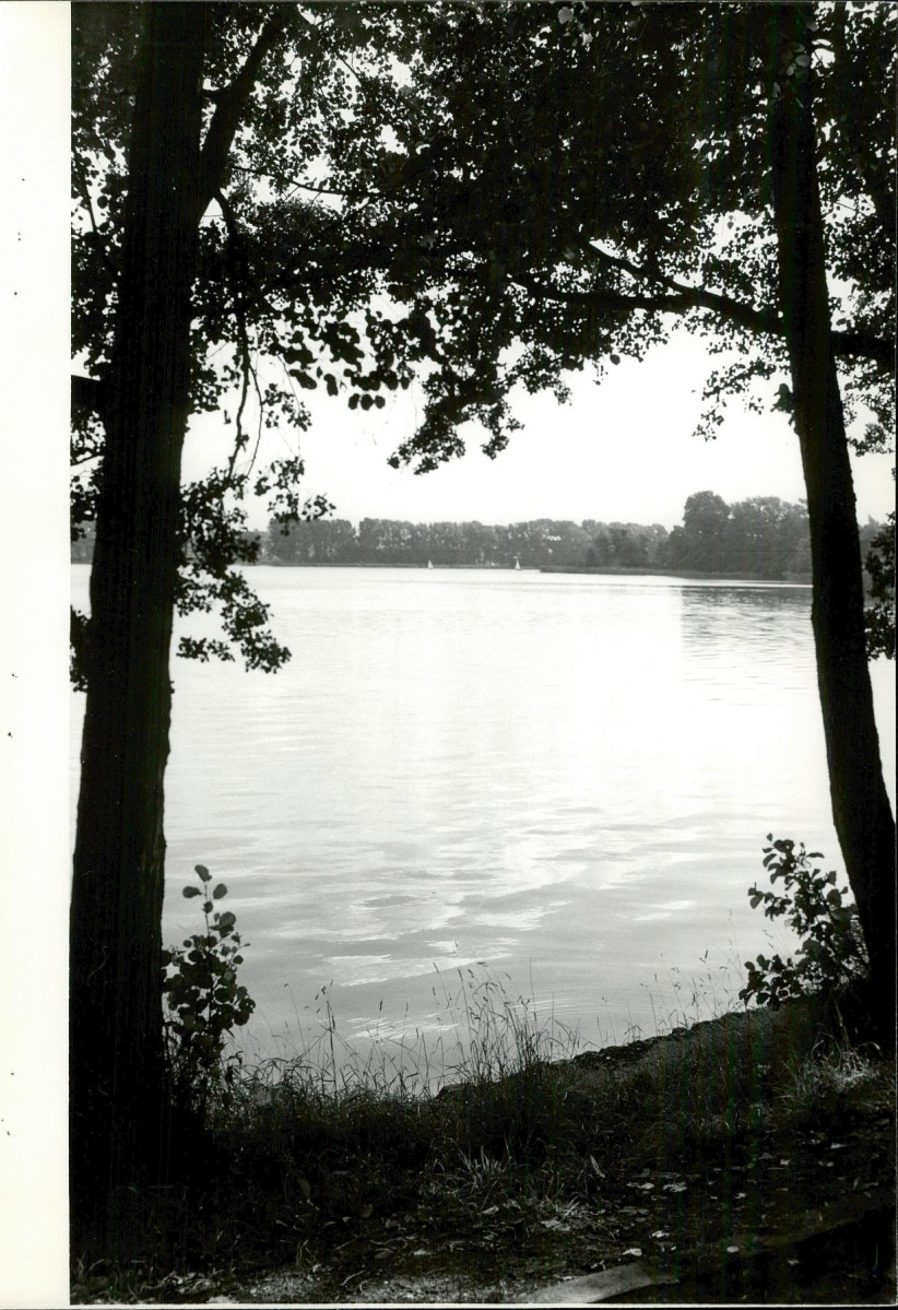 Ewidencja parkowa, skan nr 53