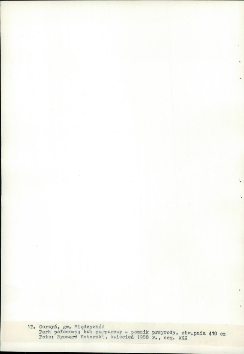 Ewidencja parkowa, skan nr 60