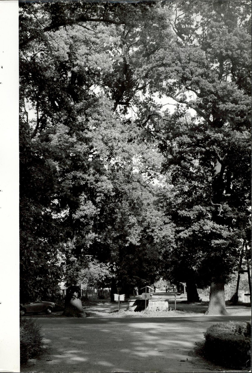 Ewidencja parkowa, skan nr 63