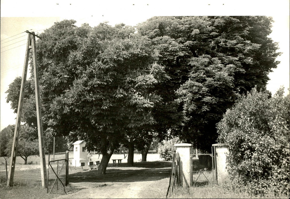 EP - Ewidencja parkowa, skan nr 20