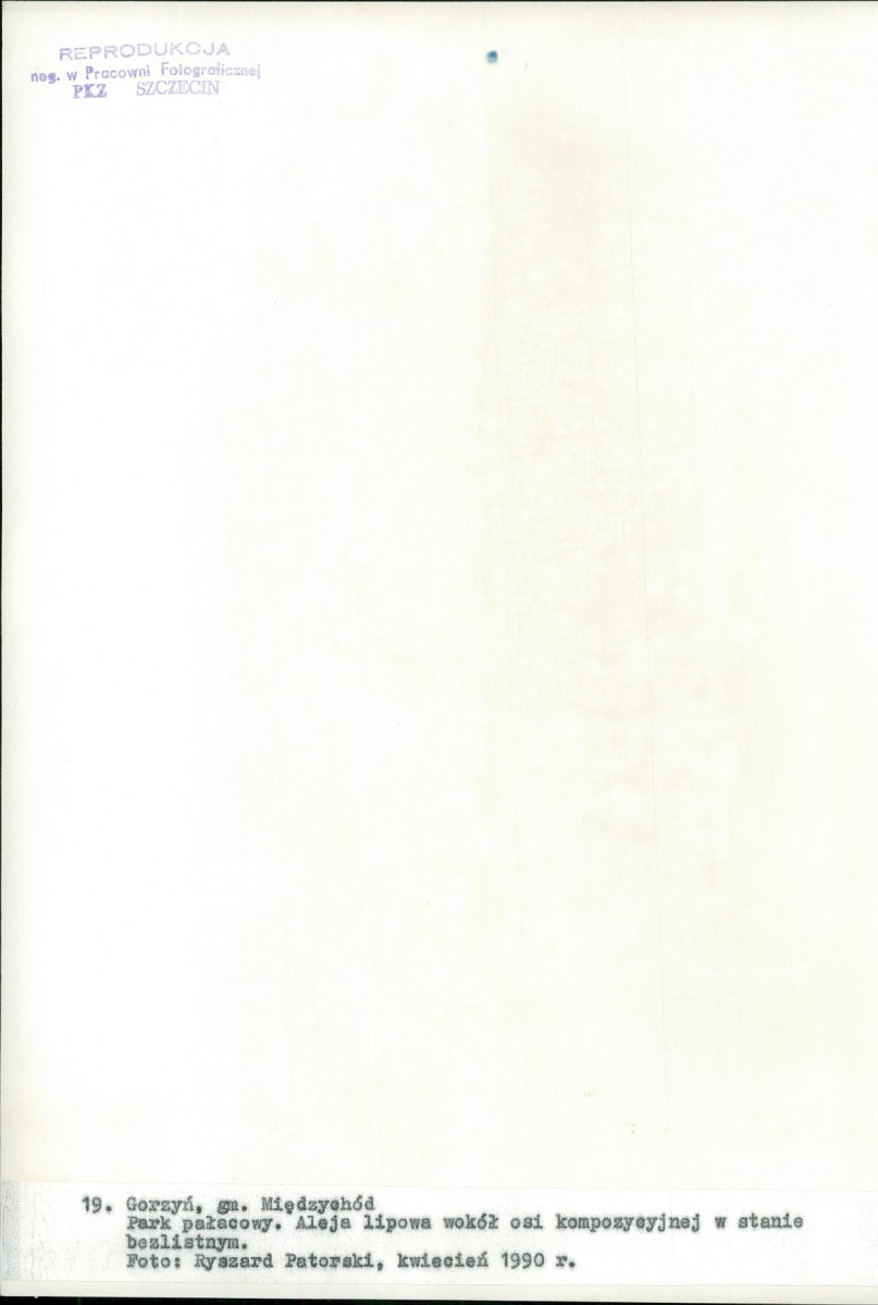 Ewidencja parkowa, skan nr 74