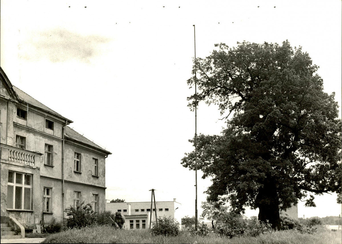 Ewidencja parkowa, skan nr 23