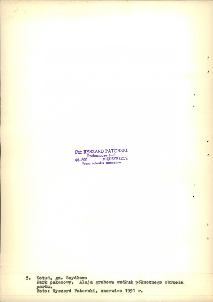 Ewidencja parkowa, skan nr 28