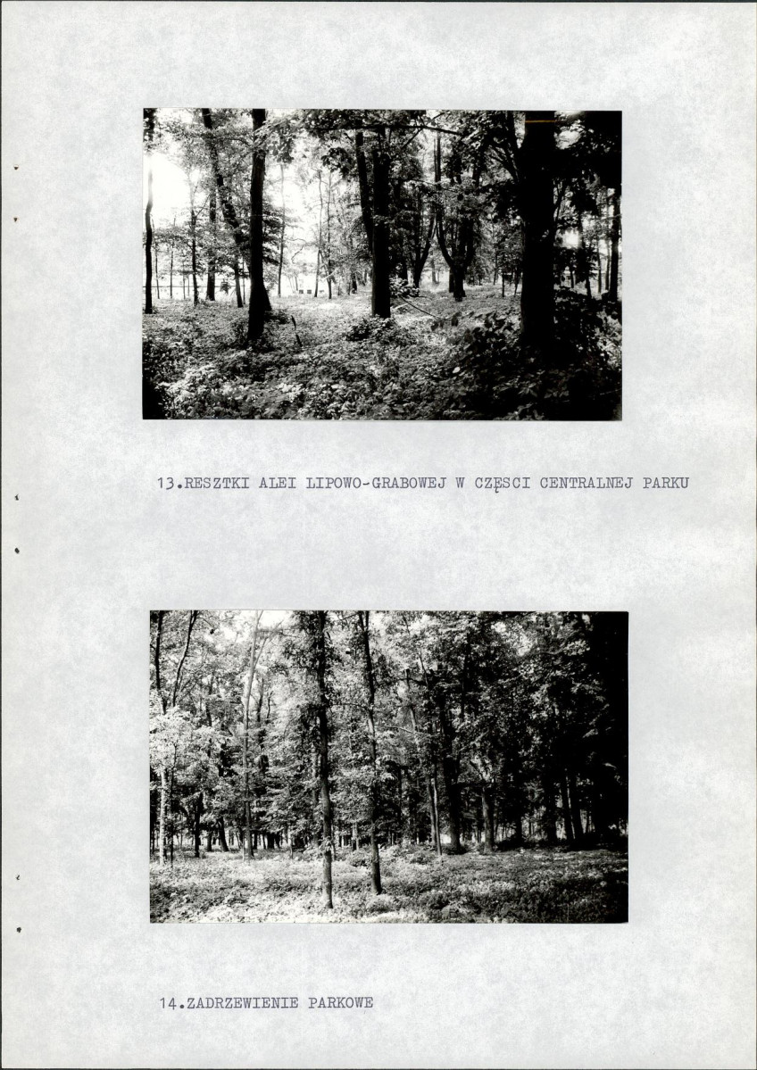 EP - Ewidencja parkowa, skan nr 25