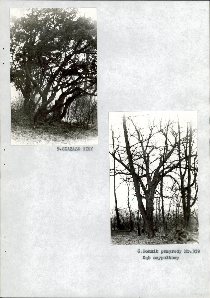 EP - Ewidencja parkowa, skan nr 22