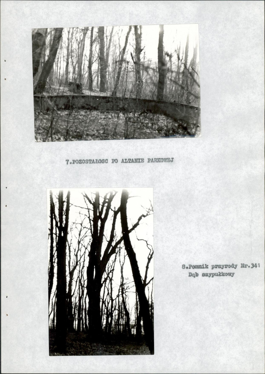 EP - Ewidencja parkowa, skan nr 23