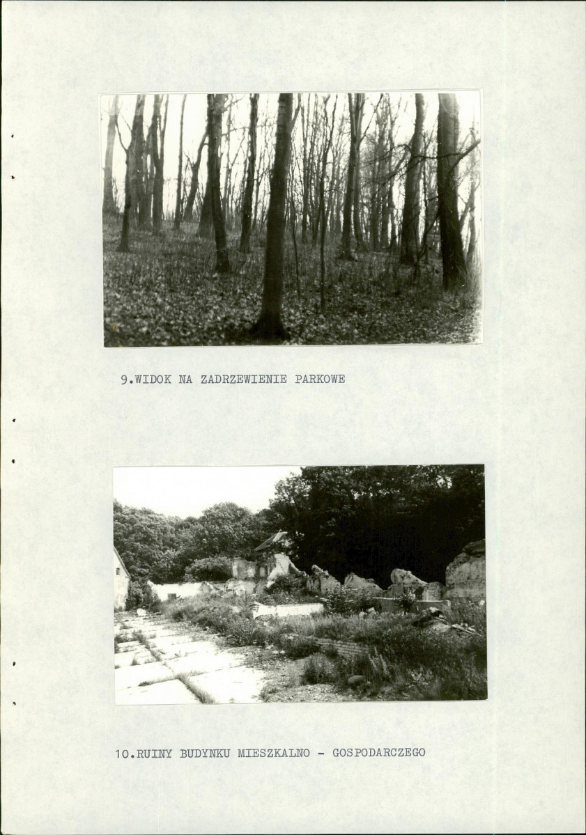 EP - Ewidencja parkowa, skan nr 24