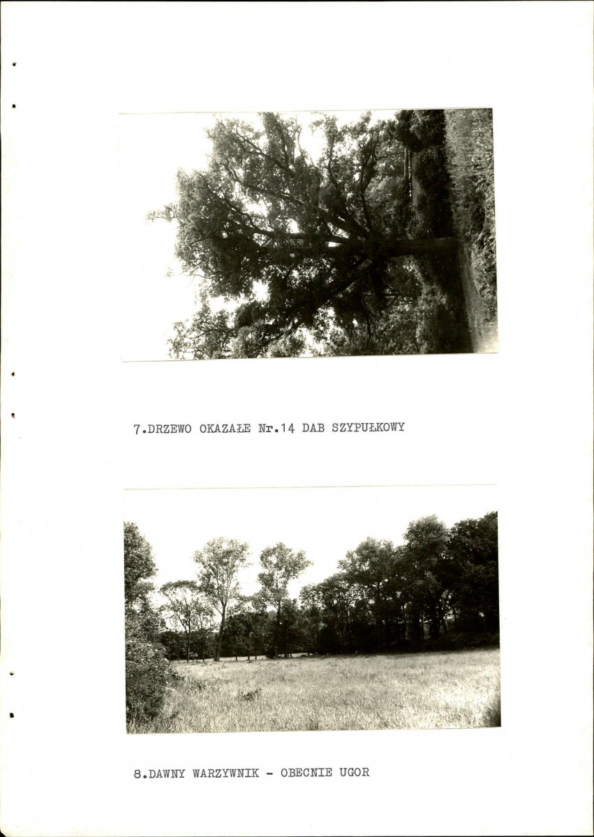 Ewidencja parkowa, skan nr 27