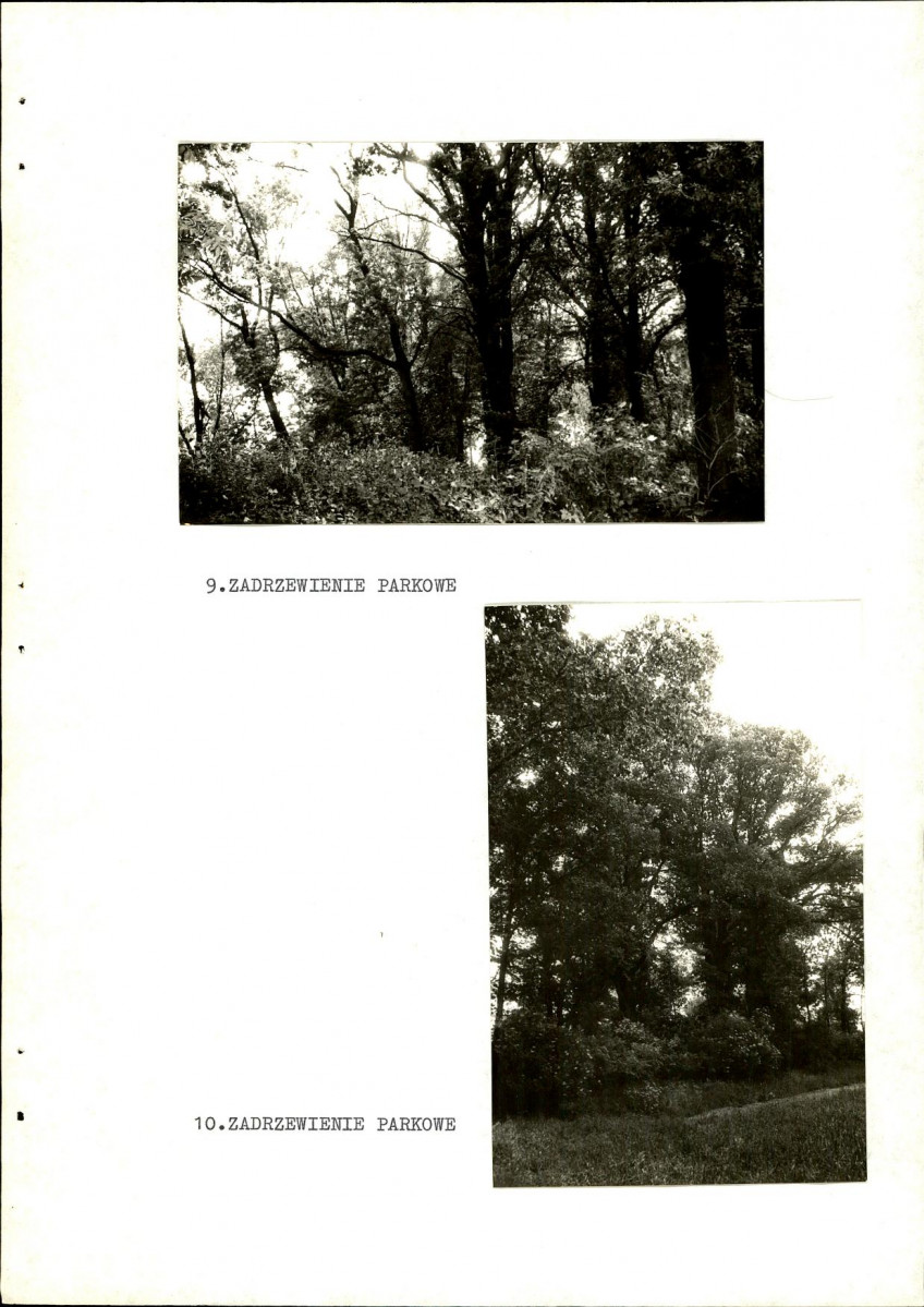 Ewidencja parkowa, skan nr 28
