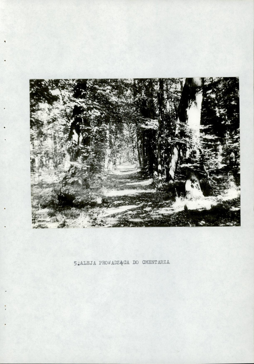 Ewidencja parkowa, skan nr 35