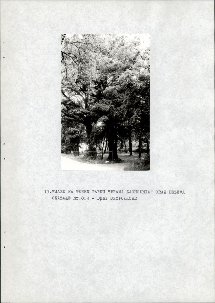Ewidencja parkowa, skan nr 26