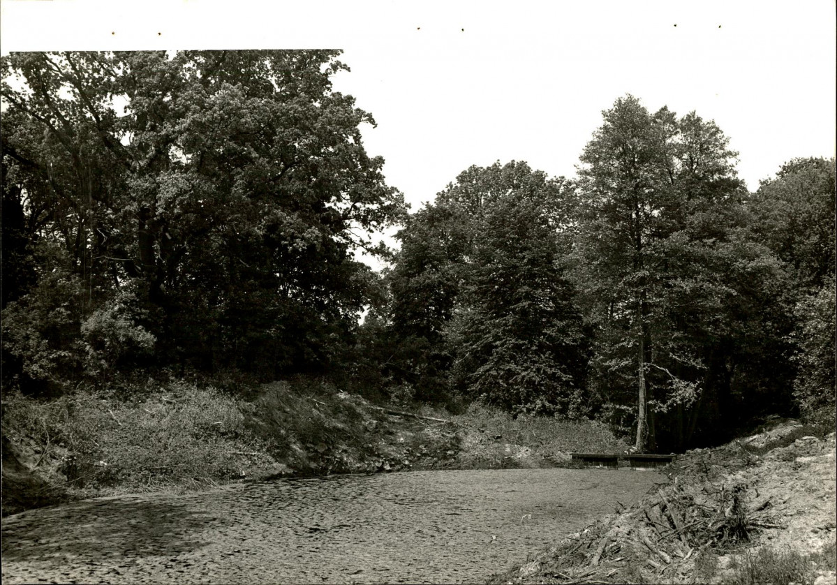 Ewidencja parkowa, skan nr 30