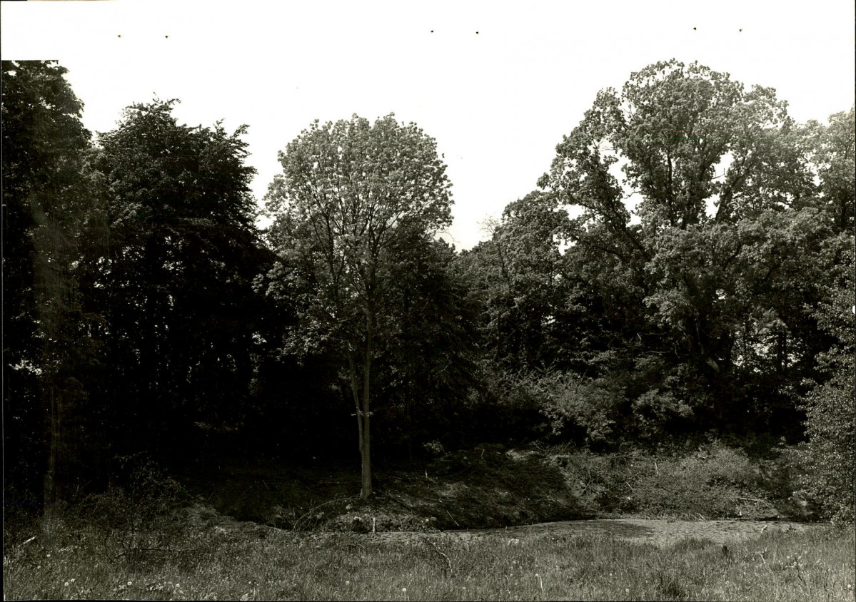Ewidencja parkowa, skan nr 32