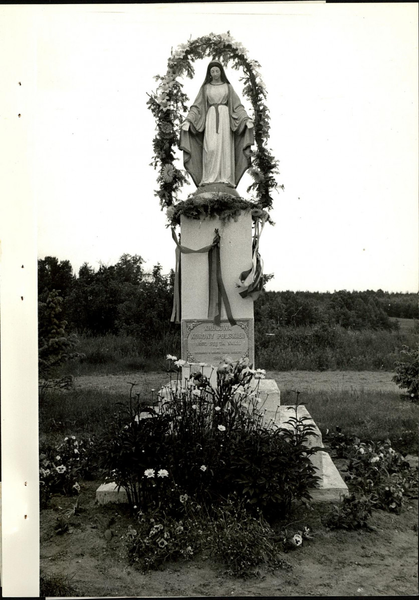 Ewidencja parkowa, skan nr 38