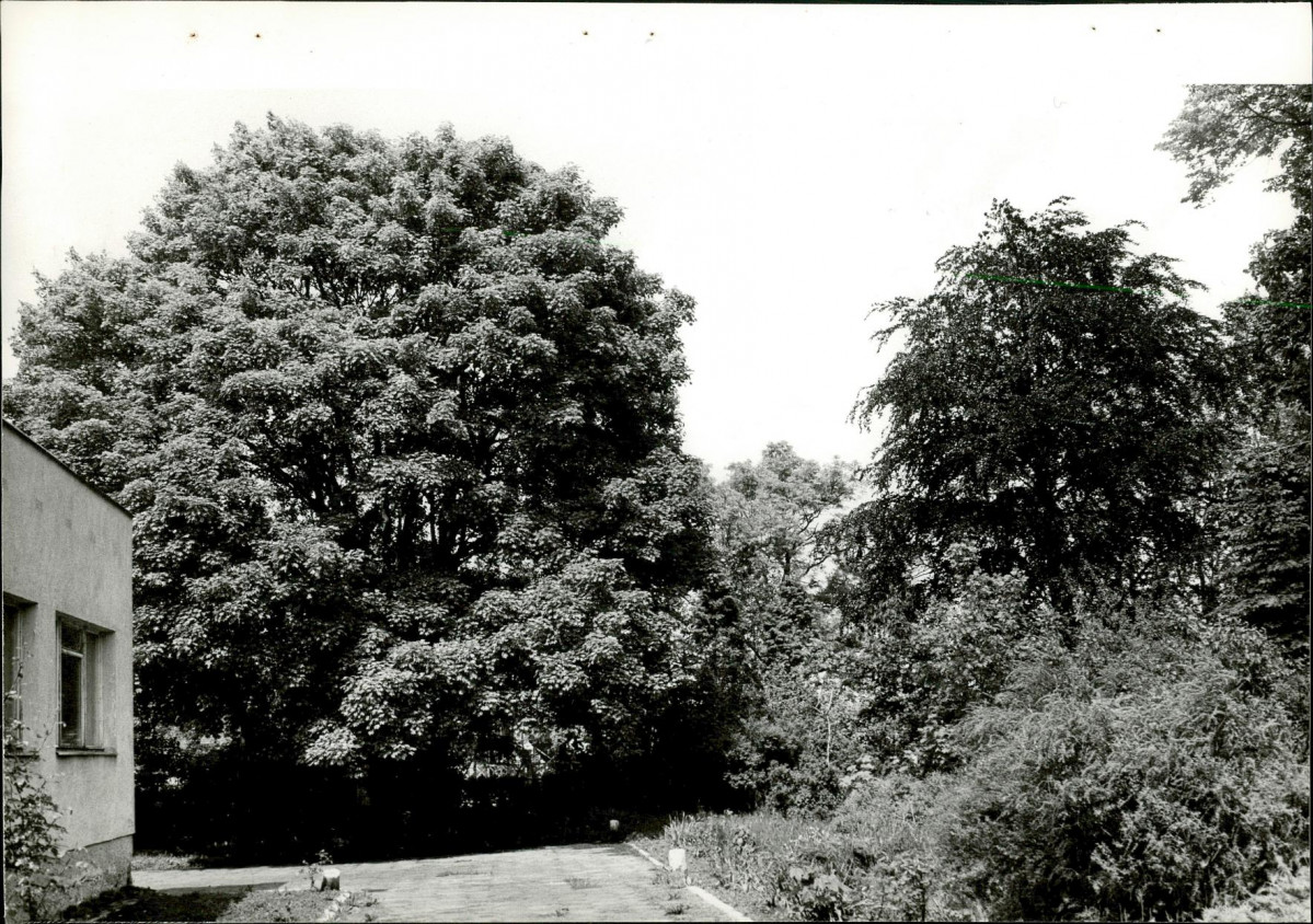 Ewidencja parkowa, skan nr 27