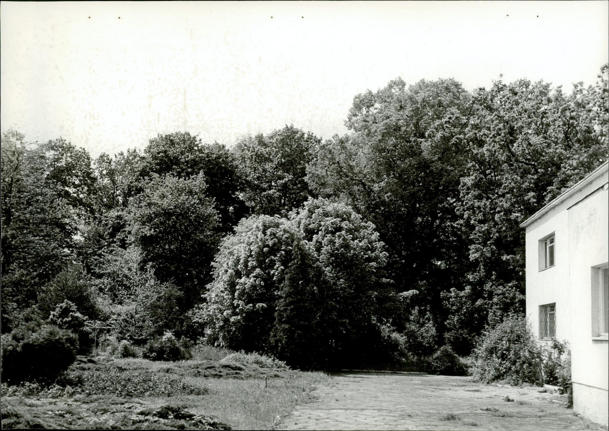 Ewidencja parkowa, skan nr 29