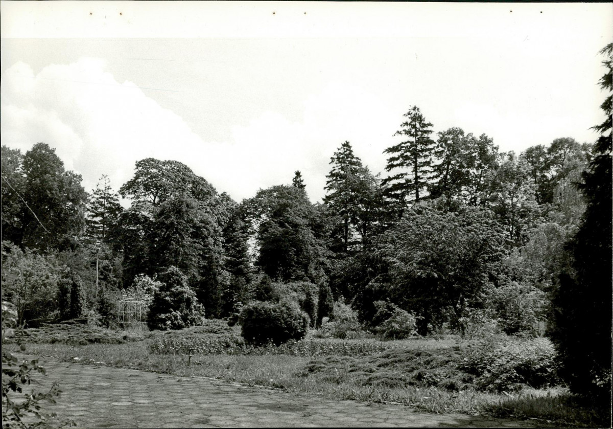 Ewidencja parkowa, skan nr 31