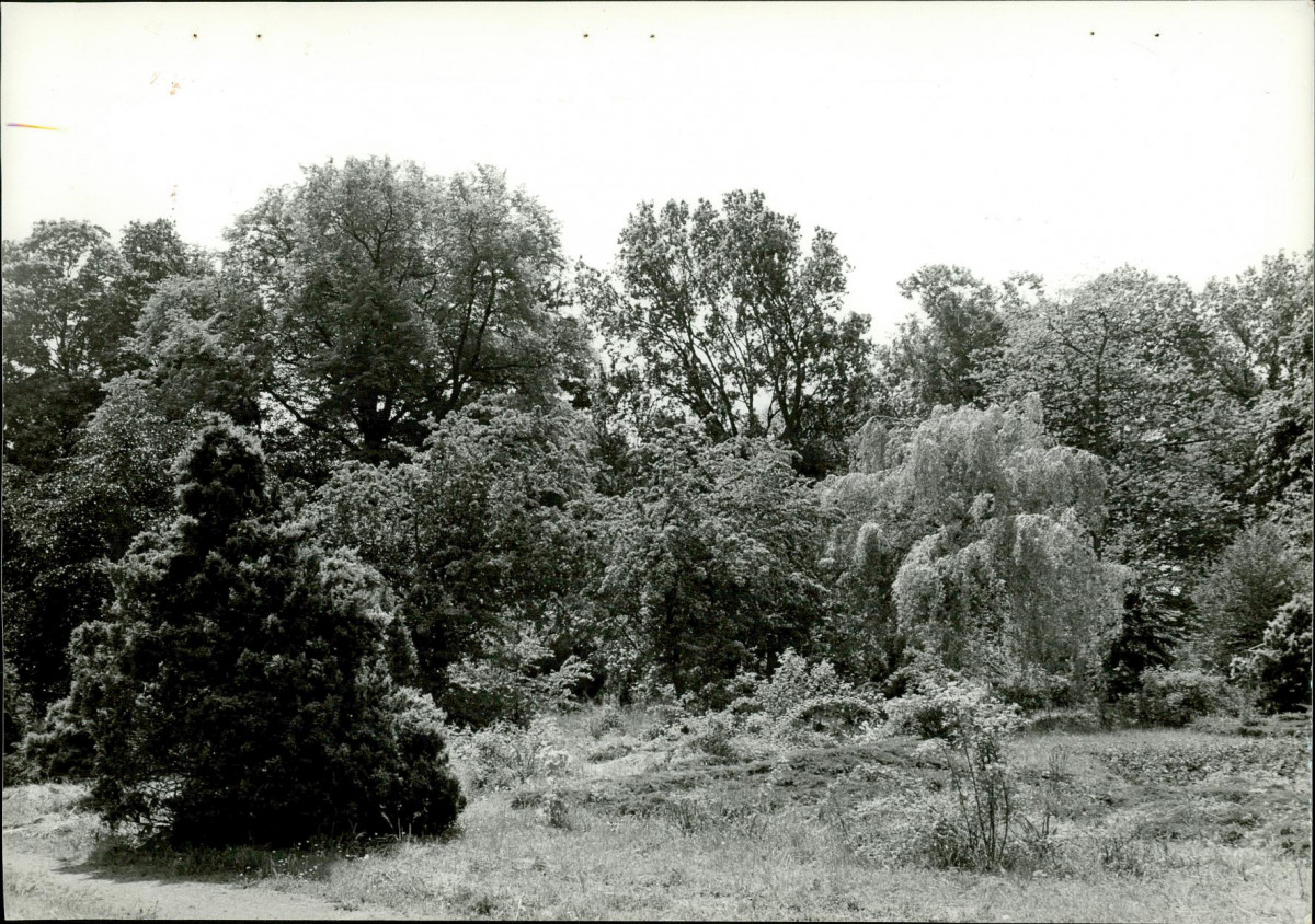 Ewidencja parkowa, skan nr 33
