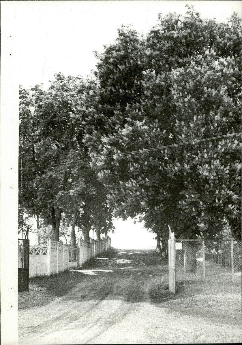 Ewidencja parkowa, skan nr 18