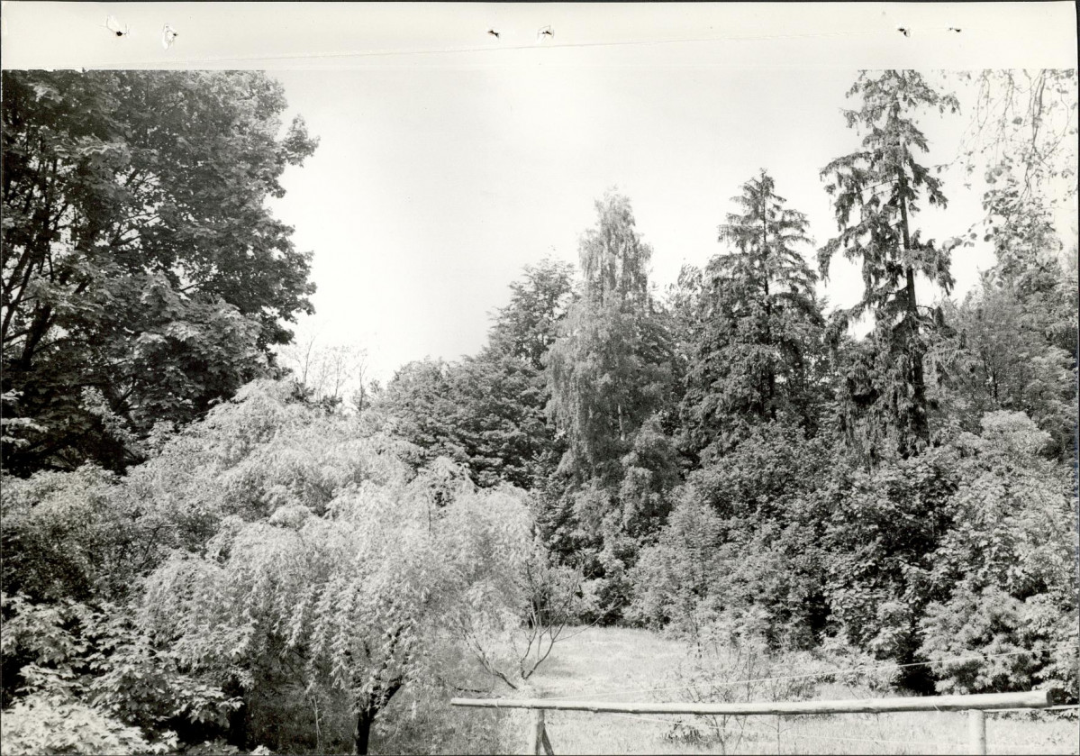 Ewidencja parkowa, skan nr 22