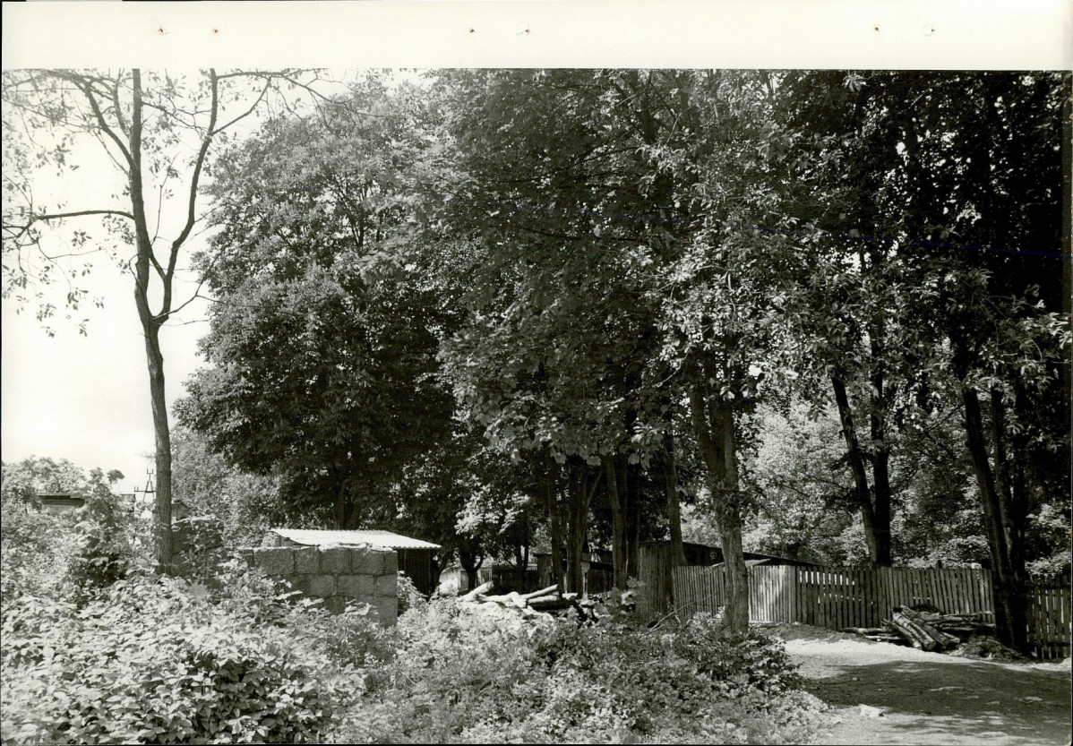 Ewidencja parkowa, skan nr 22