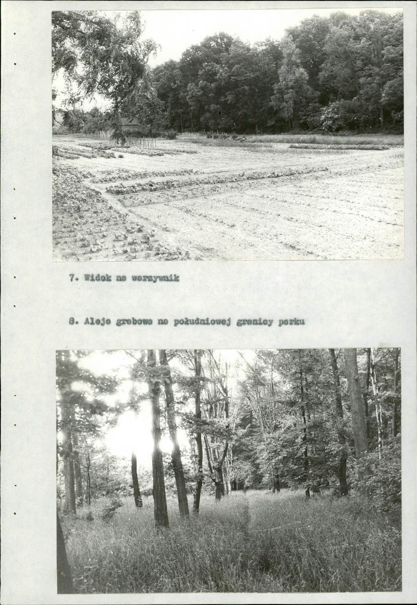 Ewidencja parkowa, skan nr 33