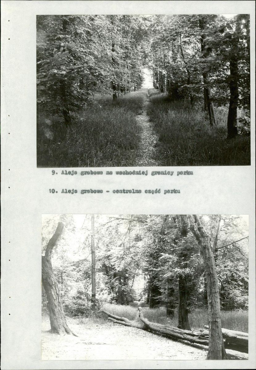 Ewidencja parkowa, skan nr 34