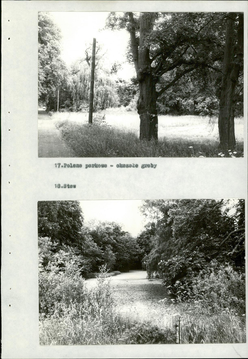 Ewidencja parkowa, skan nr 38