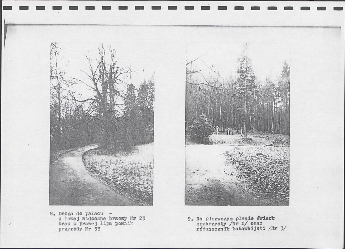 Ewidencja parkowa, skan nr 14