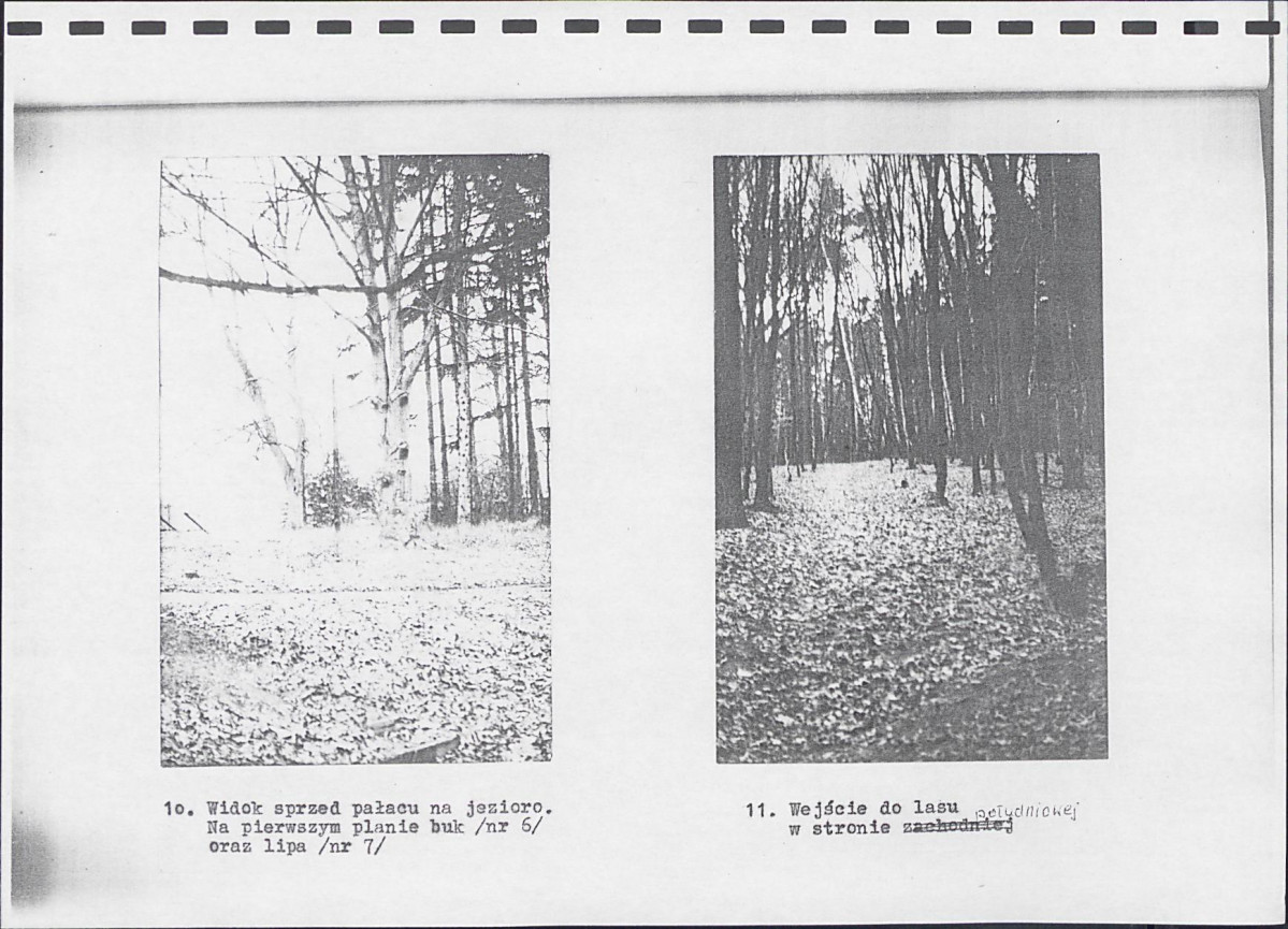 Ewidencja parkowa, skan nr 15