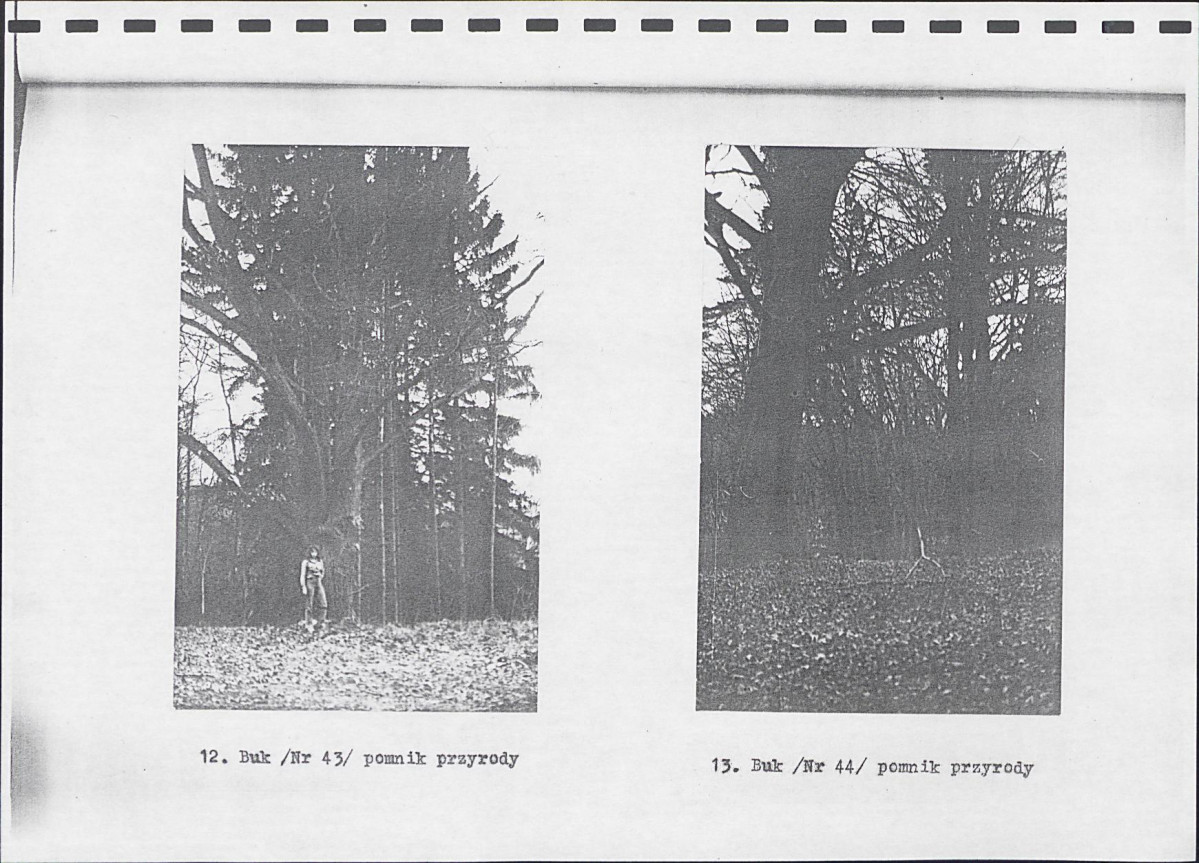 Ewidencja parkowa, skan nr 16