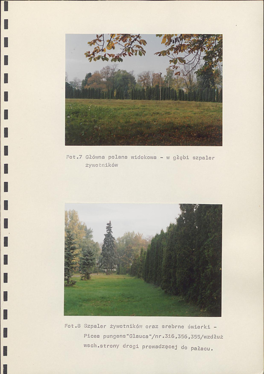 EP - Ewidencja parkowa, skan nr 89