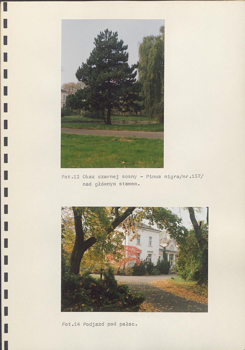 EP - Ewidencja parkowa, skan nr 92