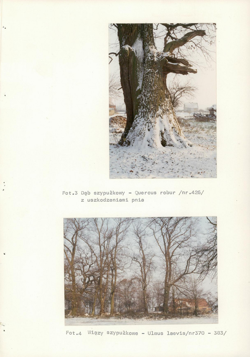 Ewidencja parkowa, skan nr 64