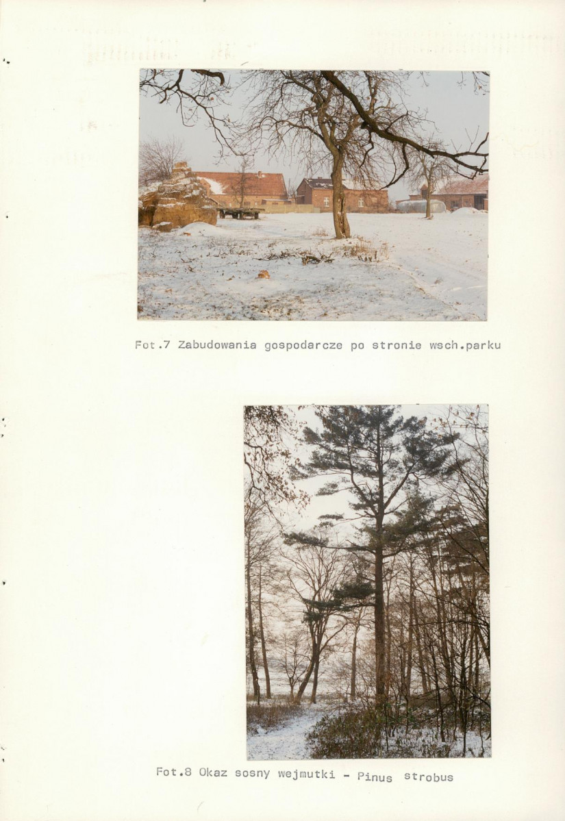 Ewidencja parkowa, skan nr 66