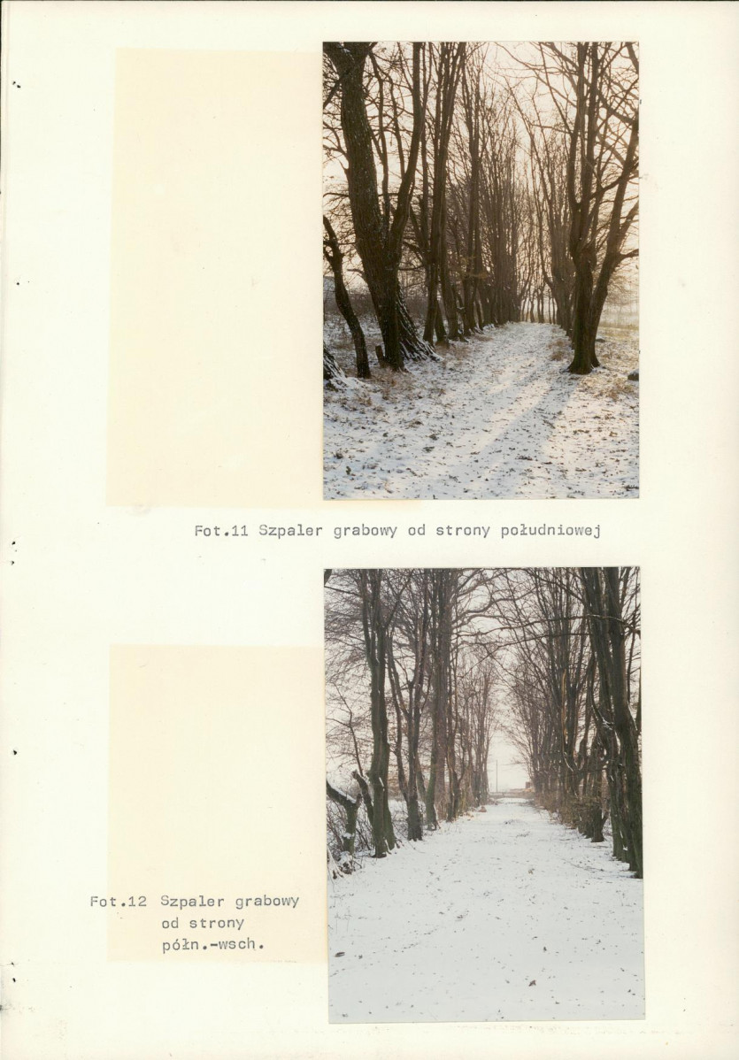 Ewidencja parkowa, skan nr 68