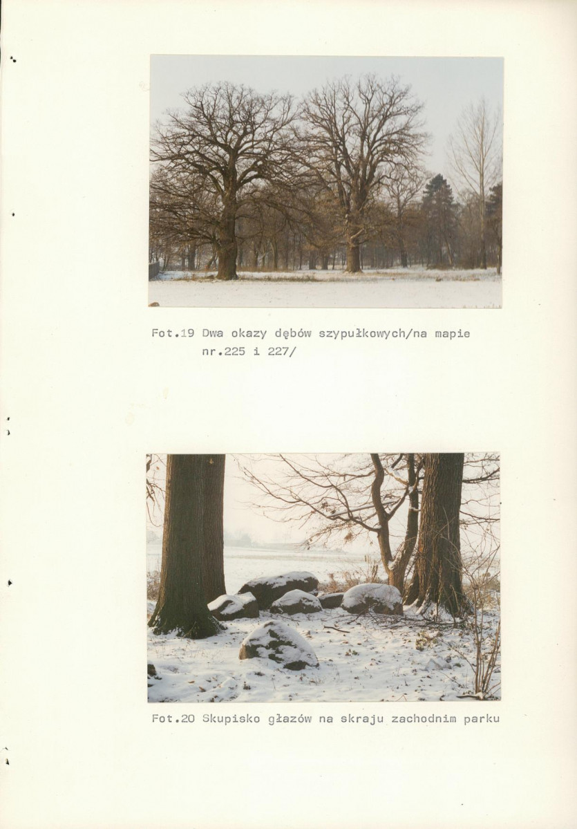 Ewidencja parkowa, skan nr 72