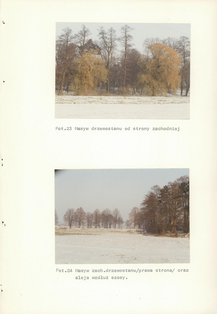 Ewidencja parkowa, skan nr 74