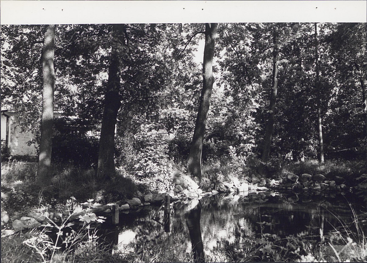 Ewidencja parkowa, skan nr 26