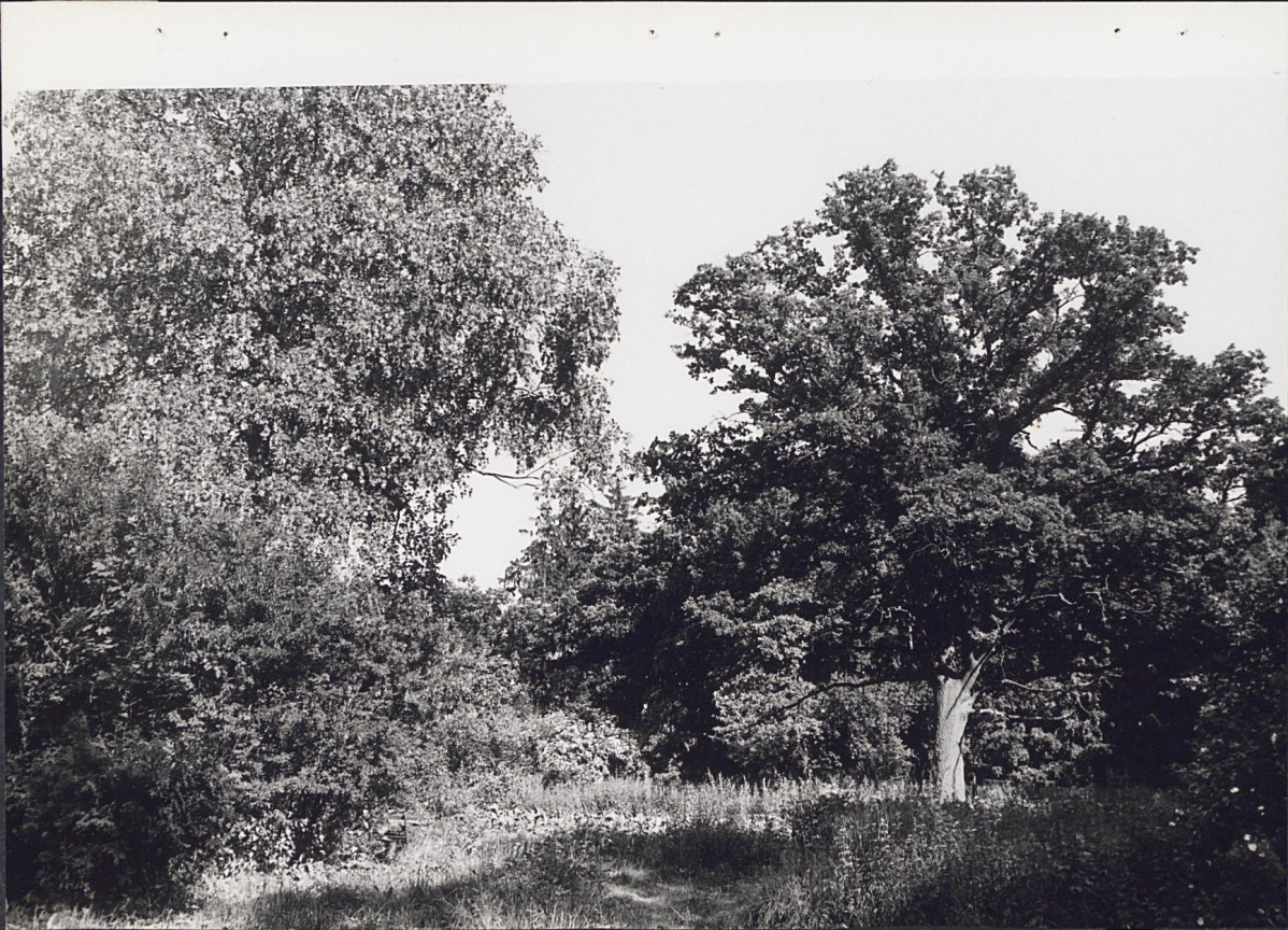 Ewidencja parkowa, skan nr 30