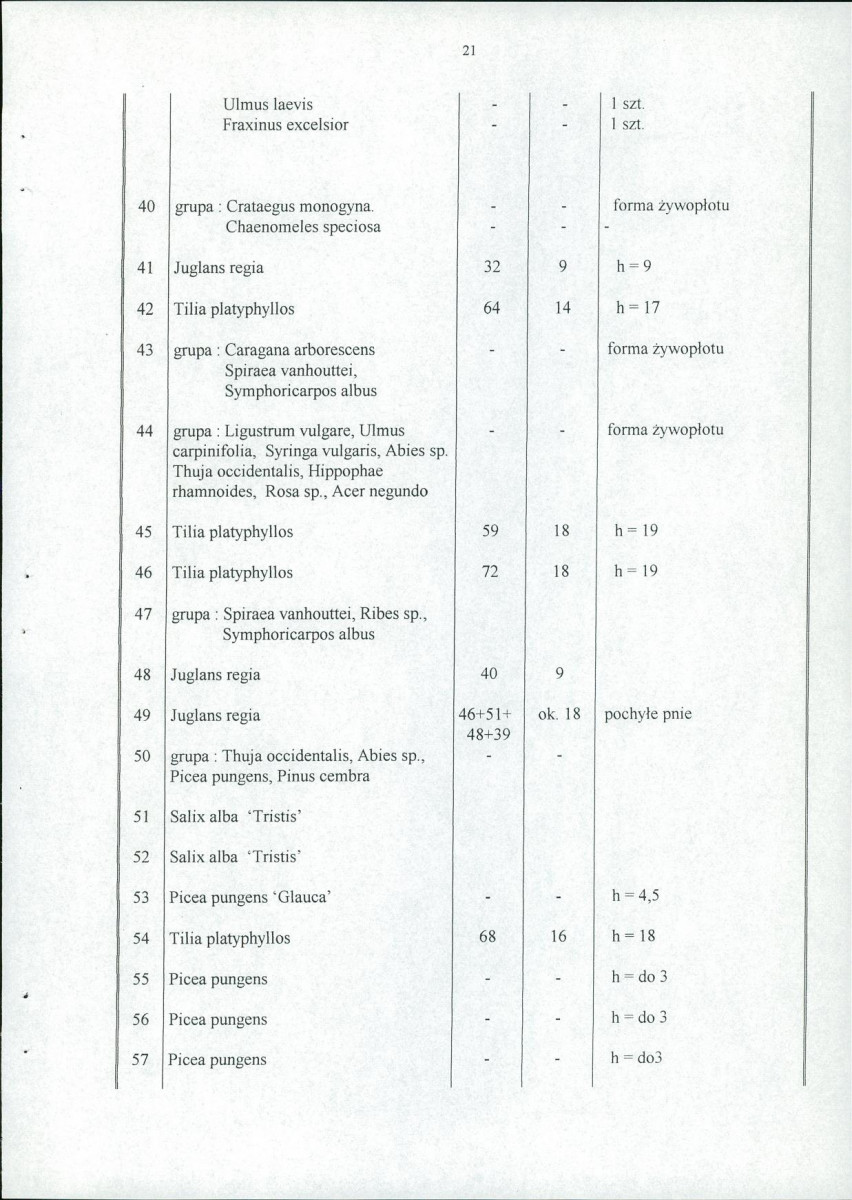 EP - Ewidencja parkowa, skan nr 28