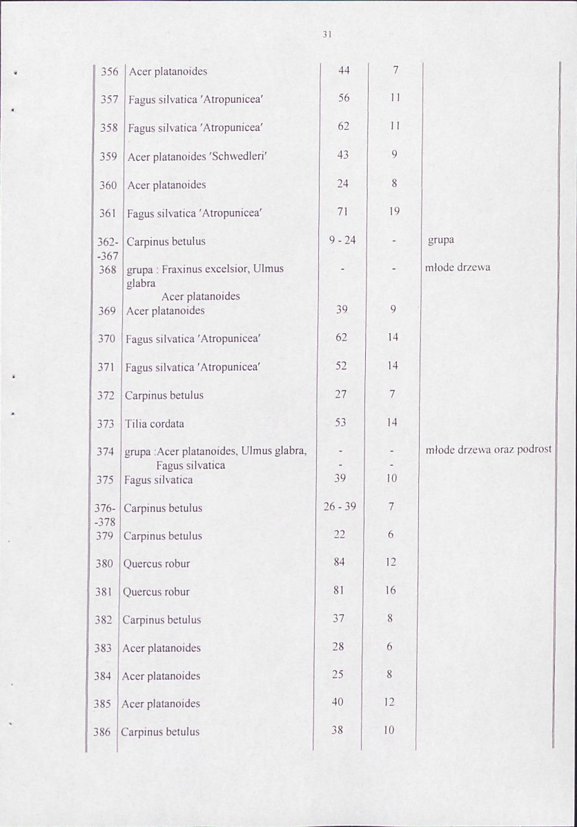 EP - Ewidencja parkowa, skan nr 41