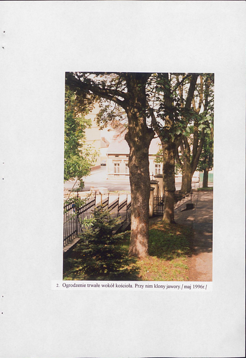 EP - Ewidencja parkowa, skan nr 50