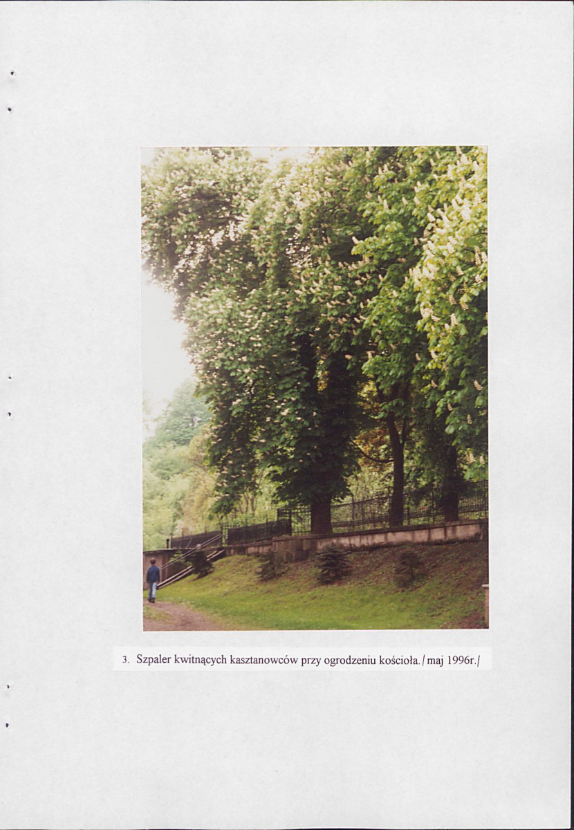 EP - Ewidencja parkowa, skan nr 51